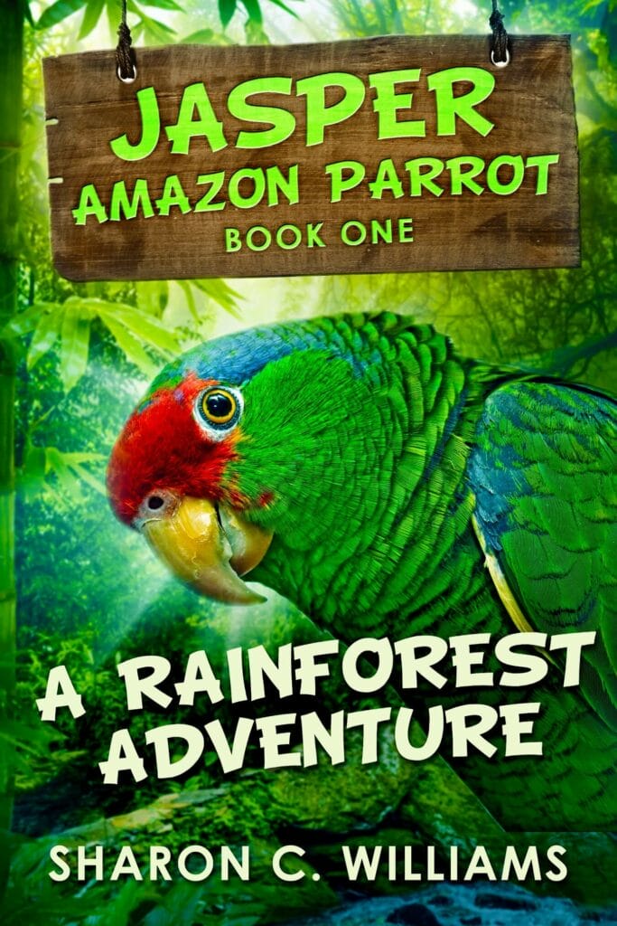 A-Rainforest-Adventure-Main-File